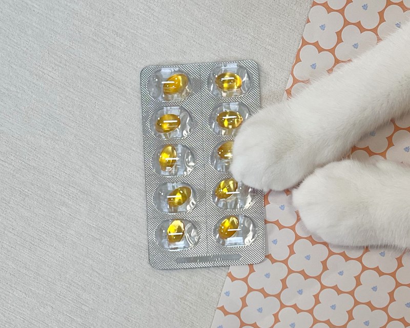 試用